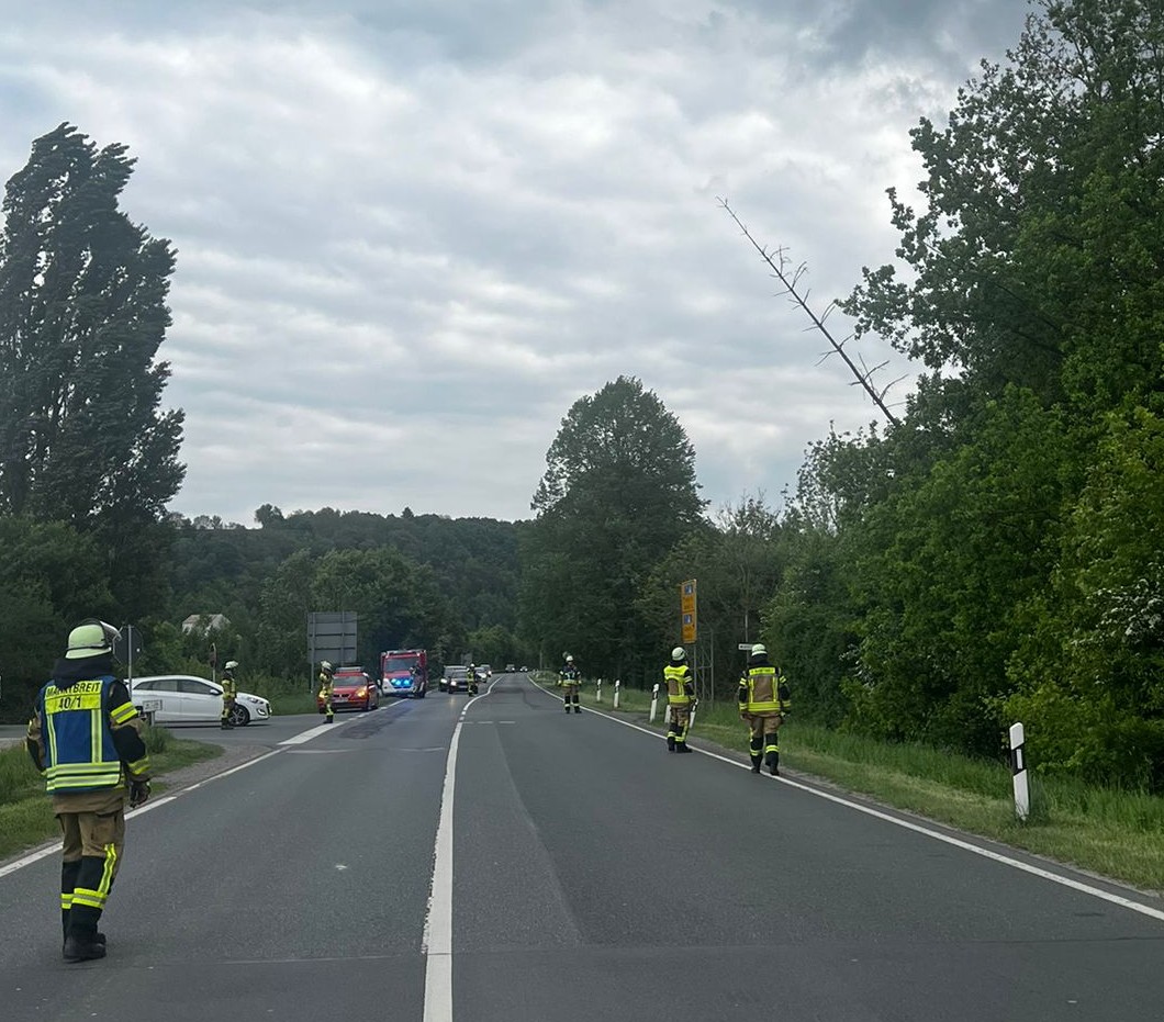 THL 1 klein – Baum auf Strasse
